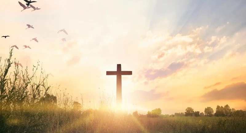 Cross-Border Dynamics: Impact and Definition